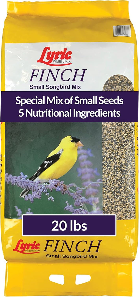 Lyric Finch Small Songbird Wild Bird Seed for Attracting Finches