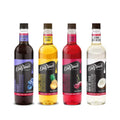 DaVinci Gourmet Classic Syrup Variety Pack for Flavor Lovers