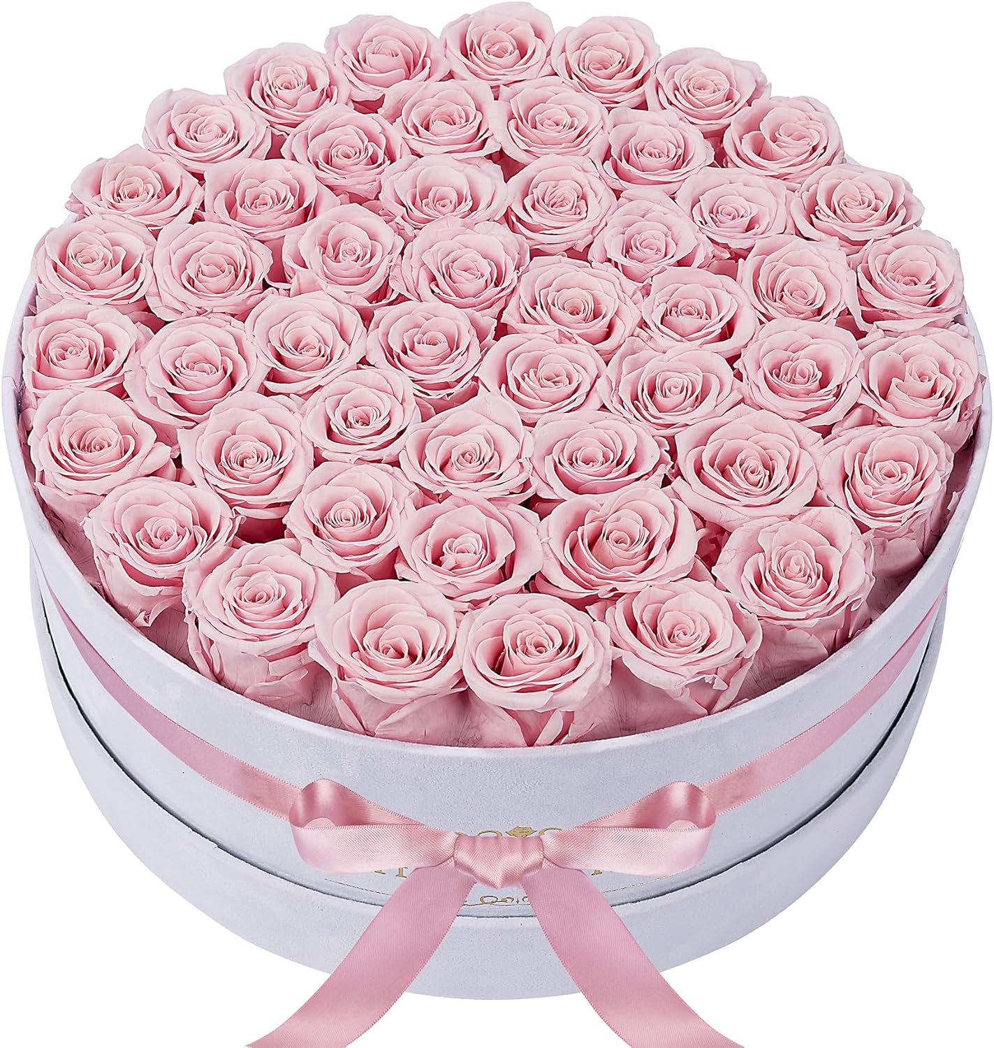 50 Piece Roses in a Velvet Box for Lasting Beauty and Gifts