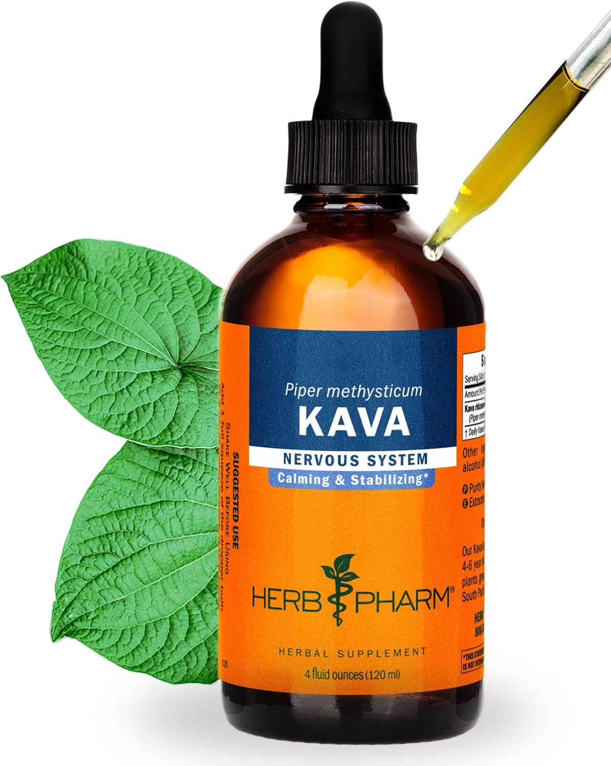 Organic Kava Root Liquid Extract for Stress Support & Relaxation