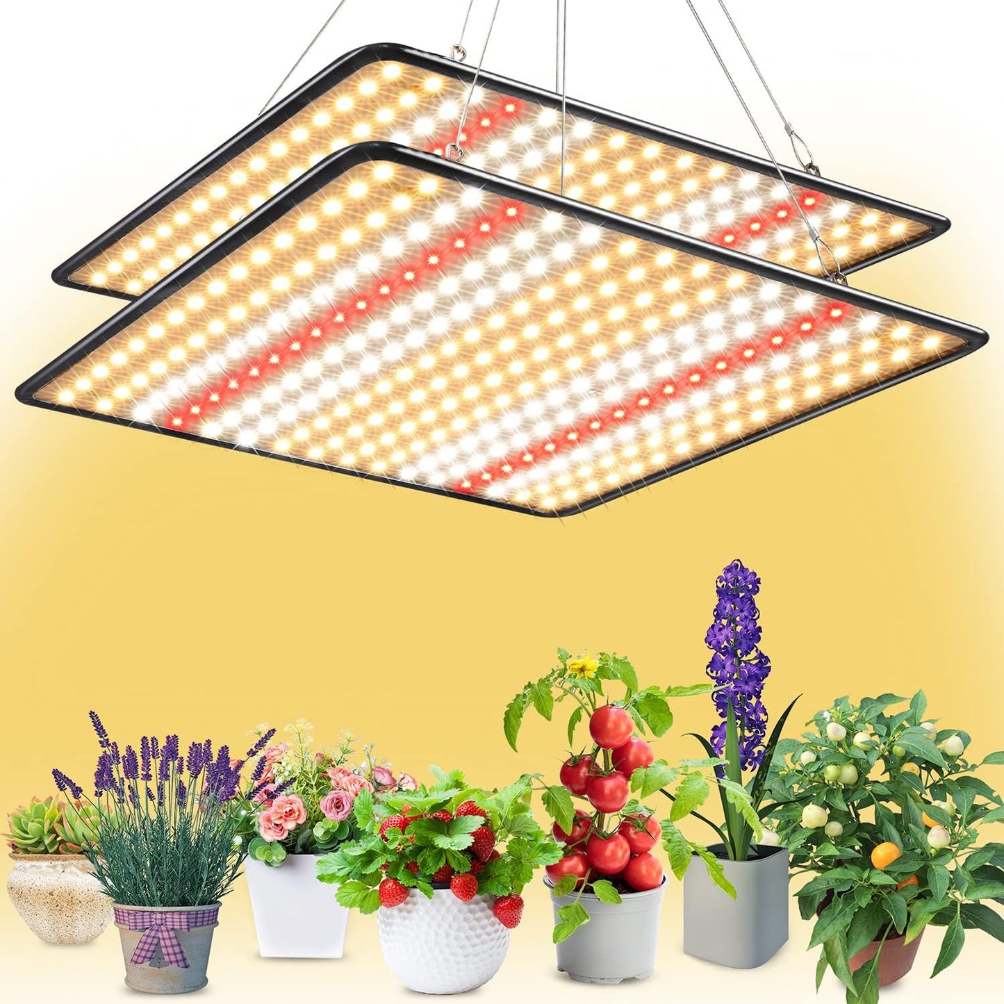 200W LED Grow Lights for Indoor Plants - Full Spectrum 2-Pack