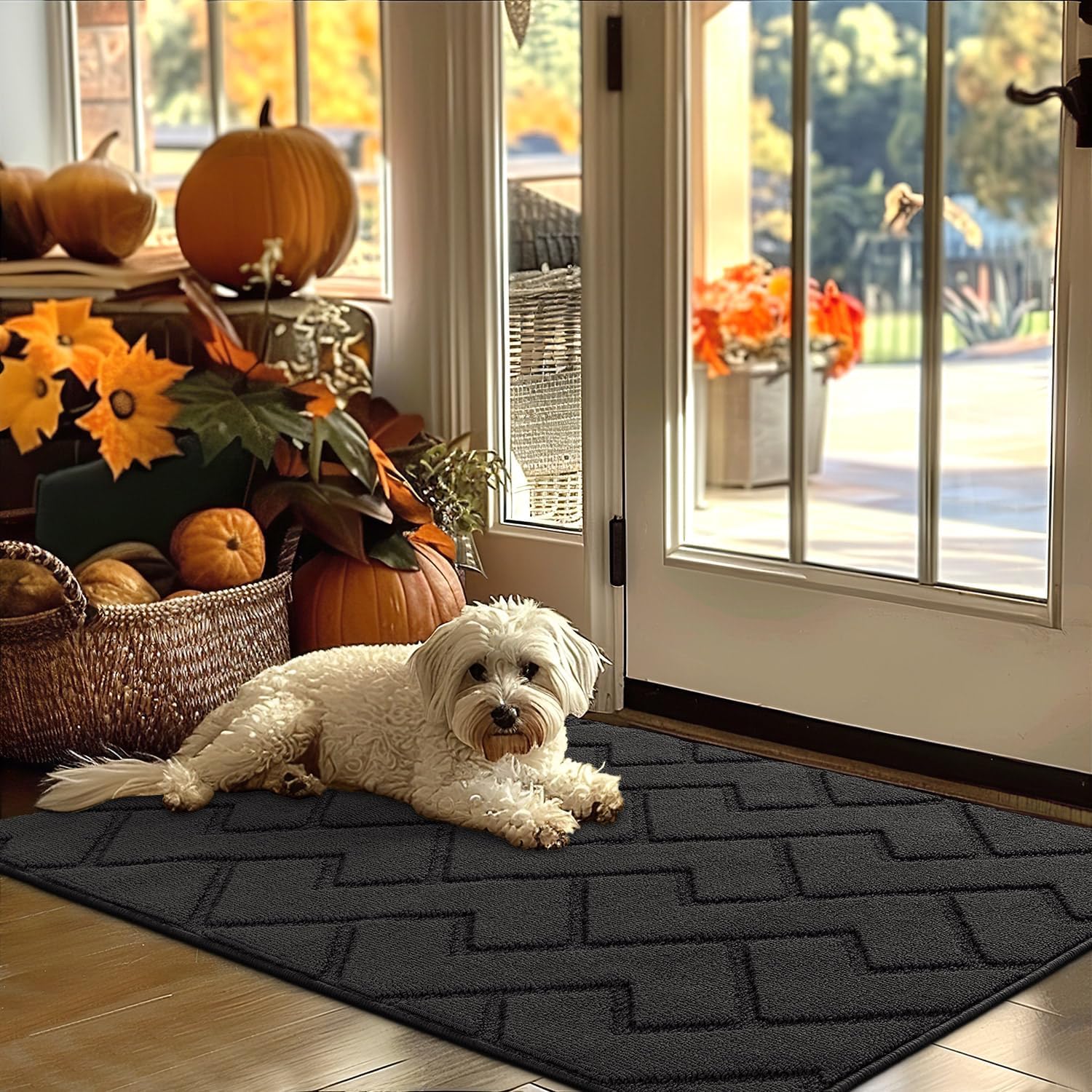 hicorfe Indoor Door Mat - Non Slip, Absorbent, Washable 32x48