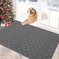 FONEYI Indoor Door Mat 32 in x 40 in - Low Profile Dirt Trapper