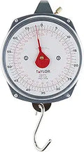 Taylor Dial Style 70-Pound Industrial Hanging Scale - Durable