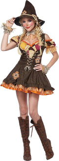 Womens Sassy Scarecrow Costume - Flattering X-Large Dress