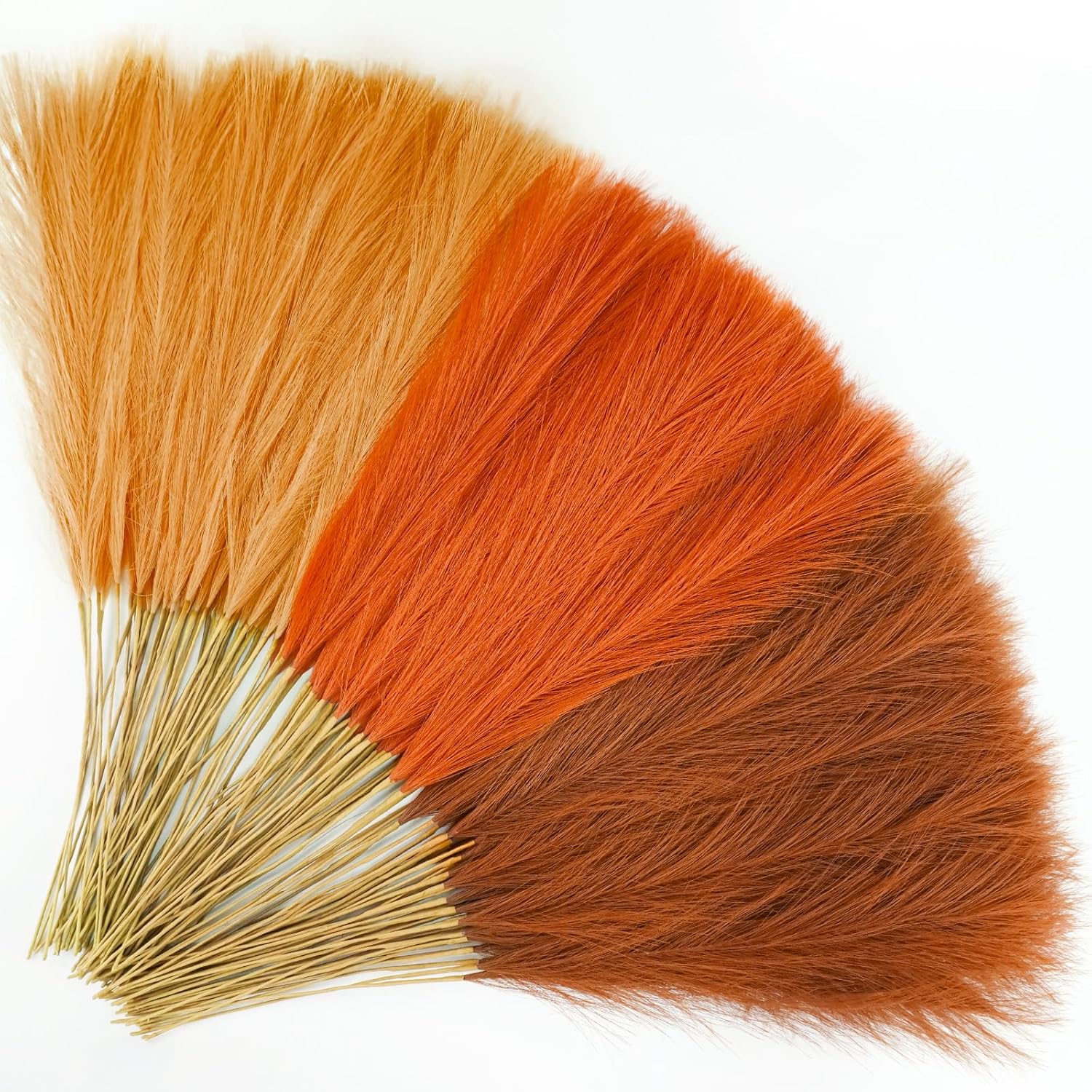 150pcs Orange Pampas Grass for Stunning Fall Decor Arrangements