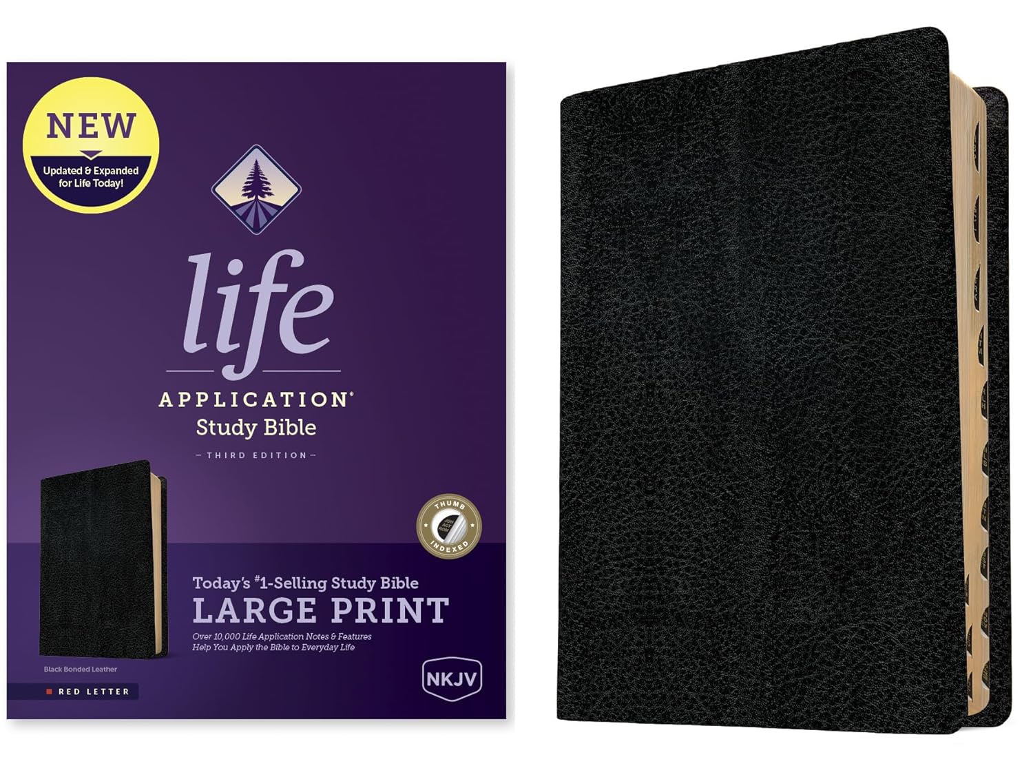 NKJV Life Application Study Bible Large Print for Deeper Insights