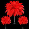 Maitys 90 Pcs Large Natural Ostrich Feathers Bulk 14-16in 12-14in