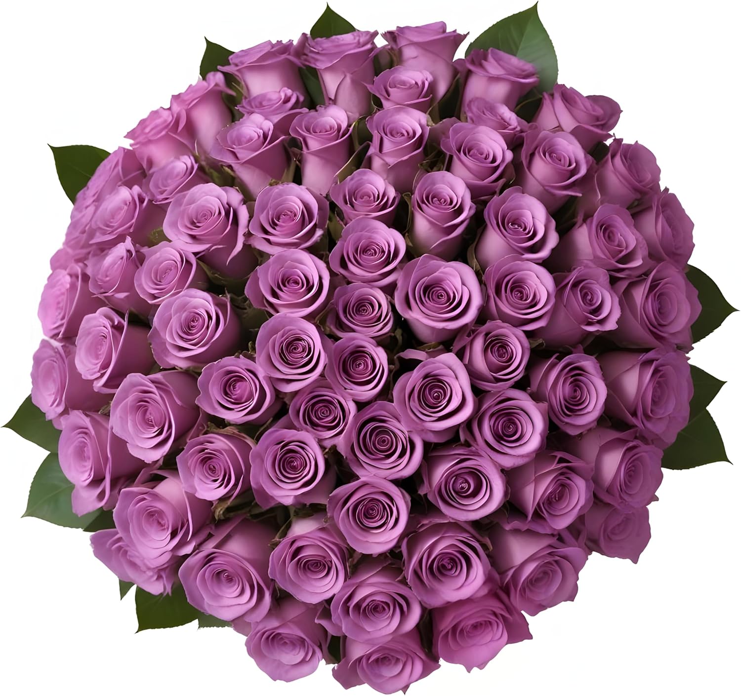 100 Purple Roses Bouquet for Every Celebration and Occasion
