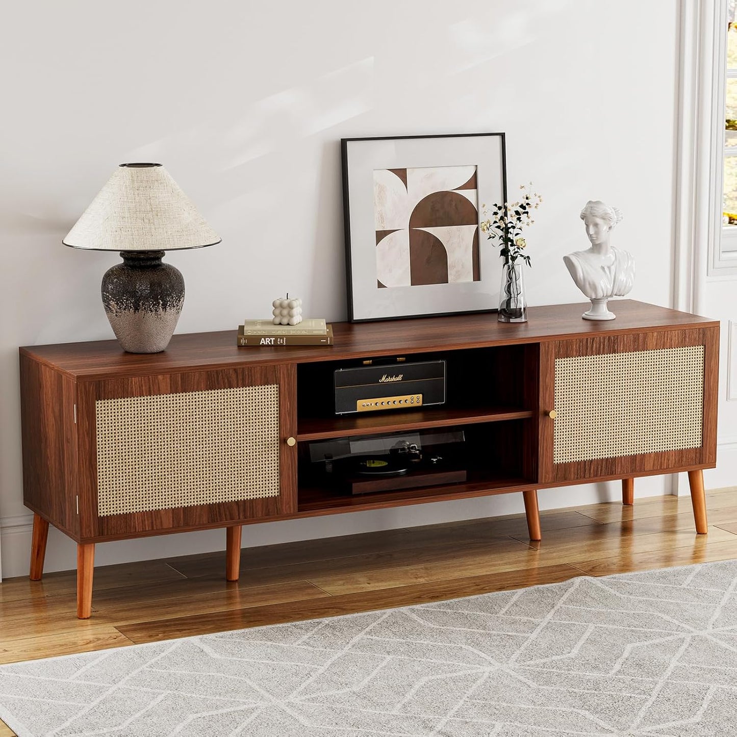TV Stand for TVs up to 65 in with Rattan Doors and Storage