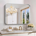 FORBATH 30x36 in Bathroom Mirror - Brushed Silver Deep Frame