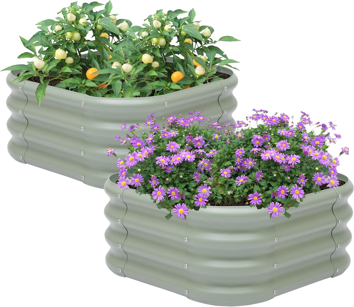 2-Pack 2x1ft Galvanized Raised Garden Bed for Outdoor Planting