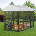 ROOMTEC Large Metal Chicken Coop Walk-in Run - Roomy 15-Bird Habitat