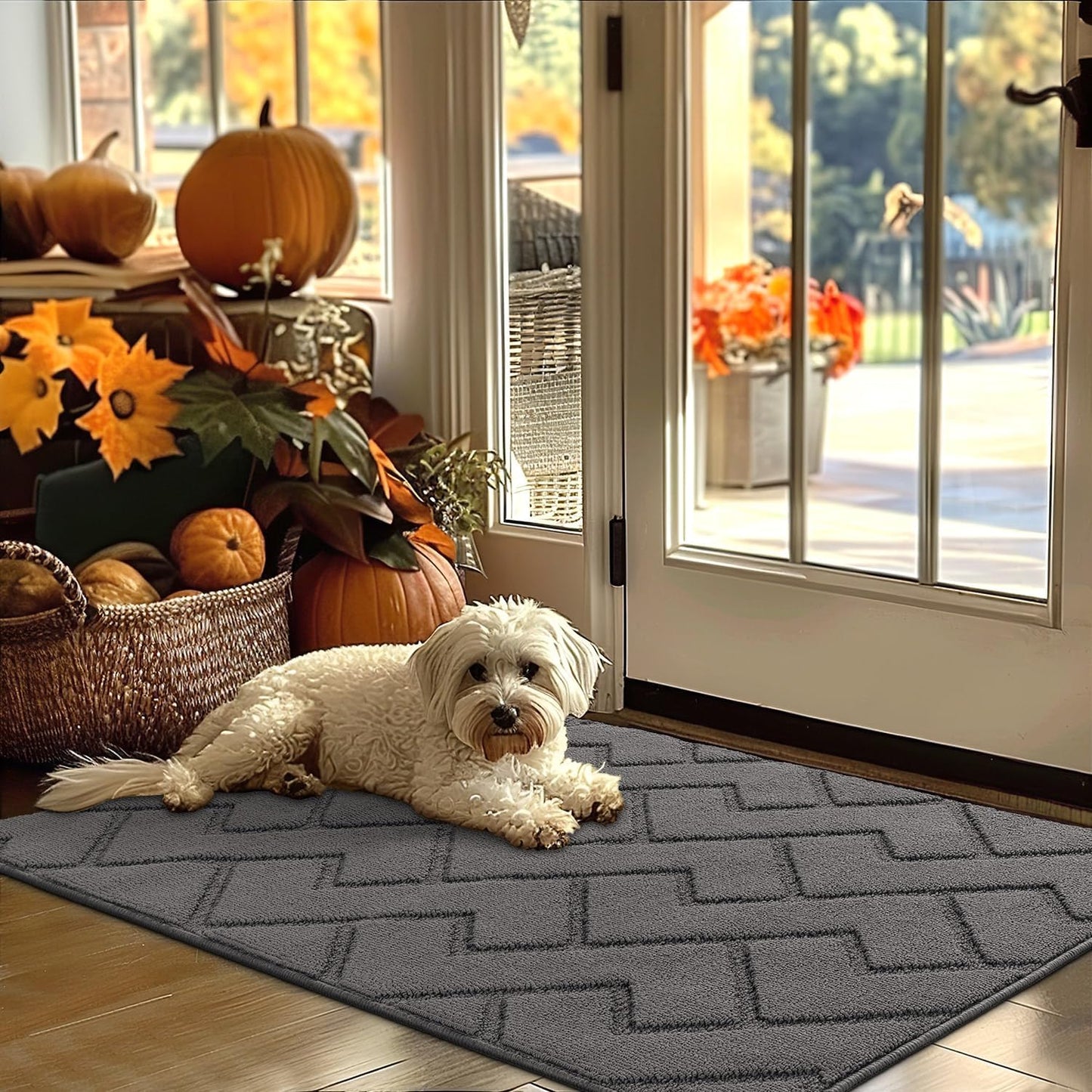 hicorfe Indoor Door Mat - Non Slip Absorbent Floor Mats 32x48