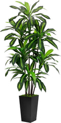 Artificial Dracaena Tree 6FT Faux Tree with Black Tall Planter - Lush