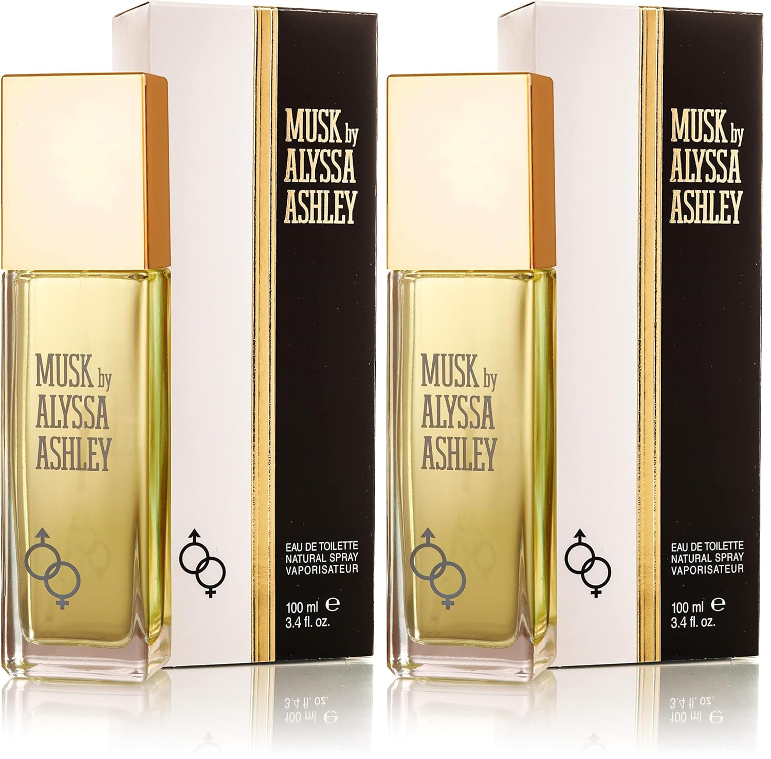 Ashley Alyssa Musk Eau De Toilette Spray for Women - 3.4 Ounces