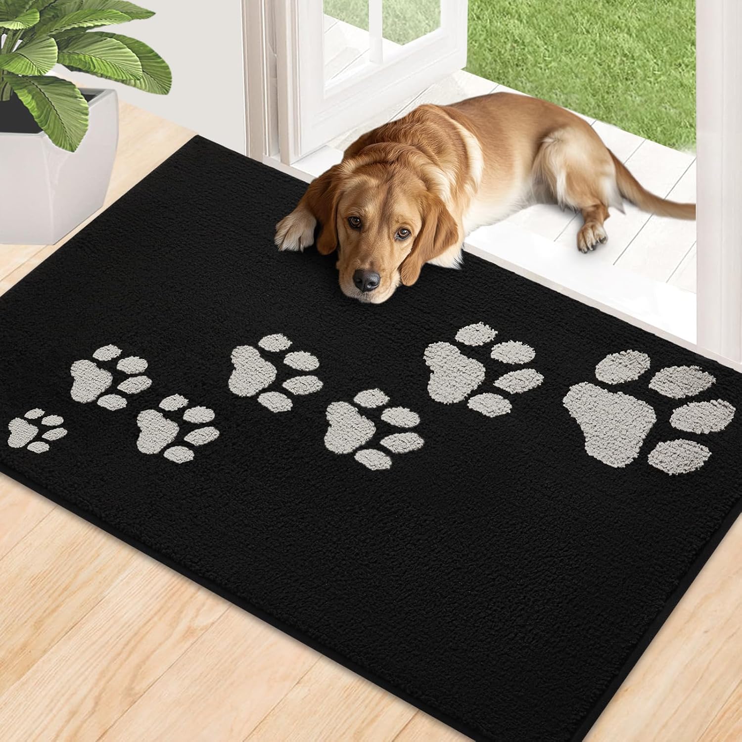 Timo Indoor Door Mat 32x48 Non-Slip Absorbent Rug for Dogs