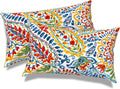 Outdoor Indoor Lumbar Pillows, Water Repellent Cushion Set