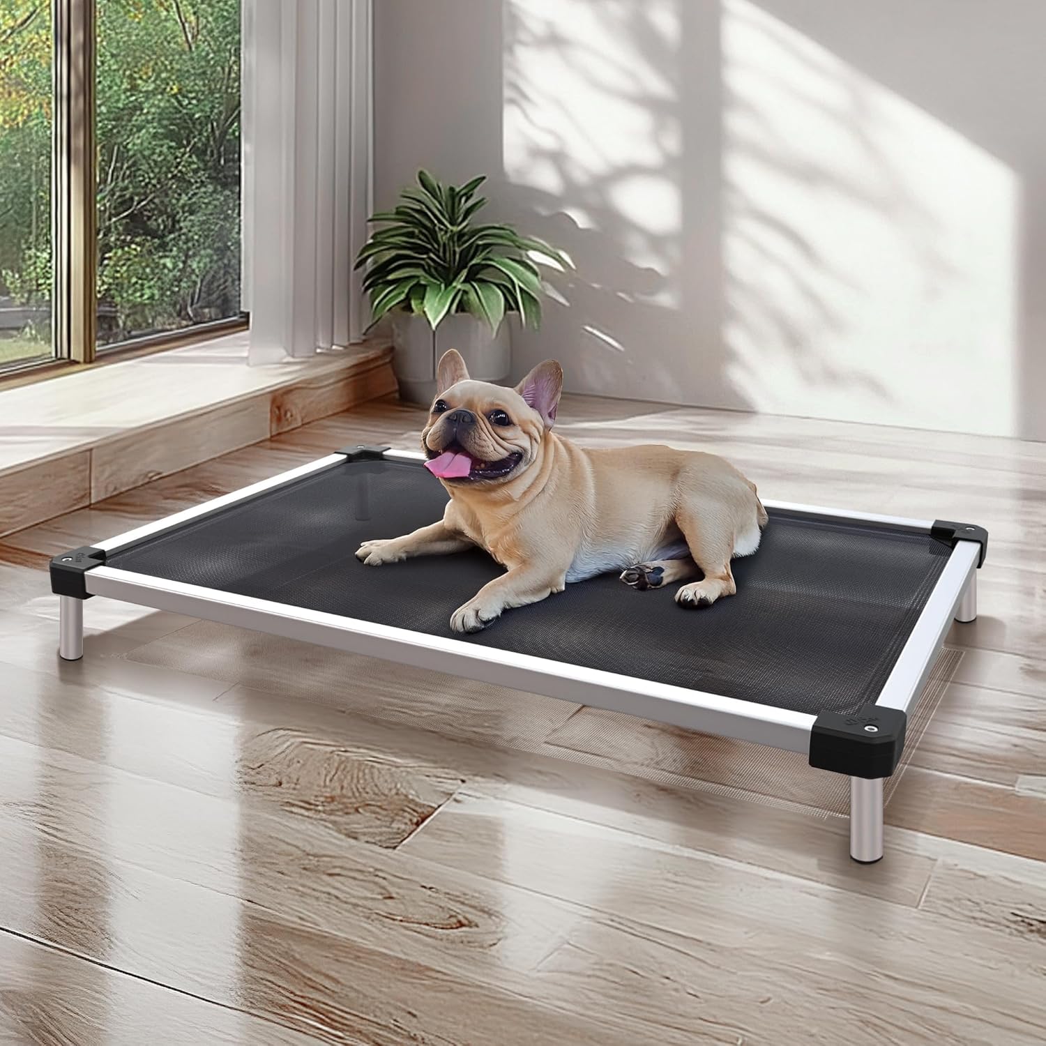 FXW TitanNest Chew-Proof Elevated Dog Bed for Small Dogs