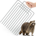 Qualirey Trap Divider Stainless Steel for 12in Wide Cages - Durable