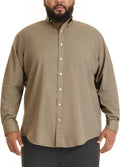 Van Heusen Big and Tall Wrinkle Free Long Sleeve Button Down Shirt you