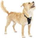 Kurgo Enhanced Strength Tru-Fit Dog Car Harness for Safety
