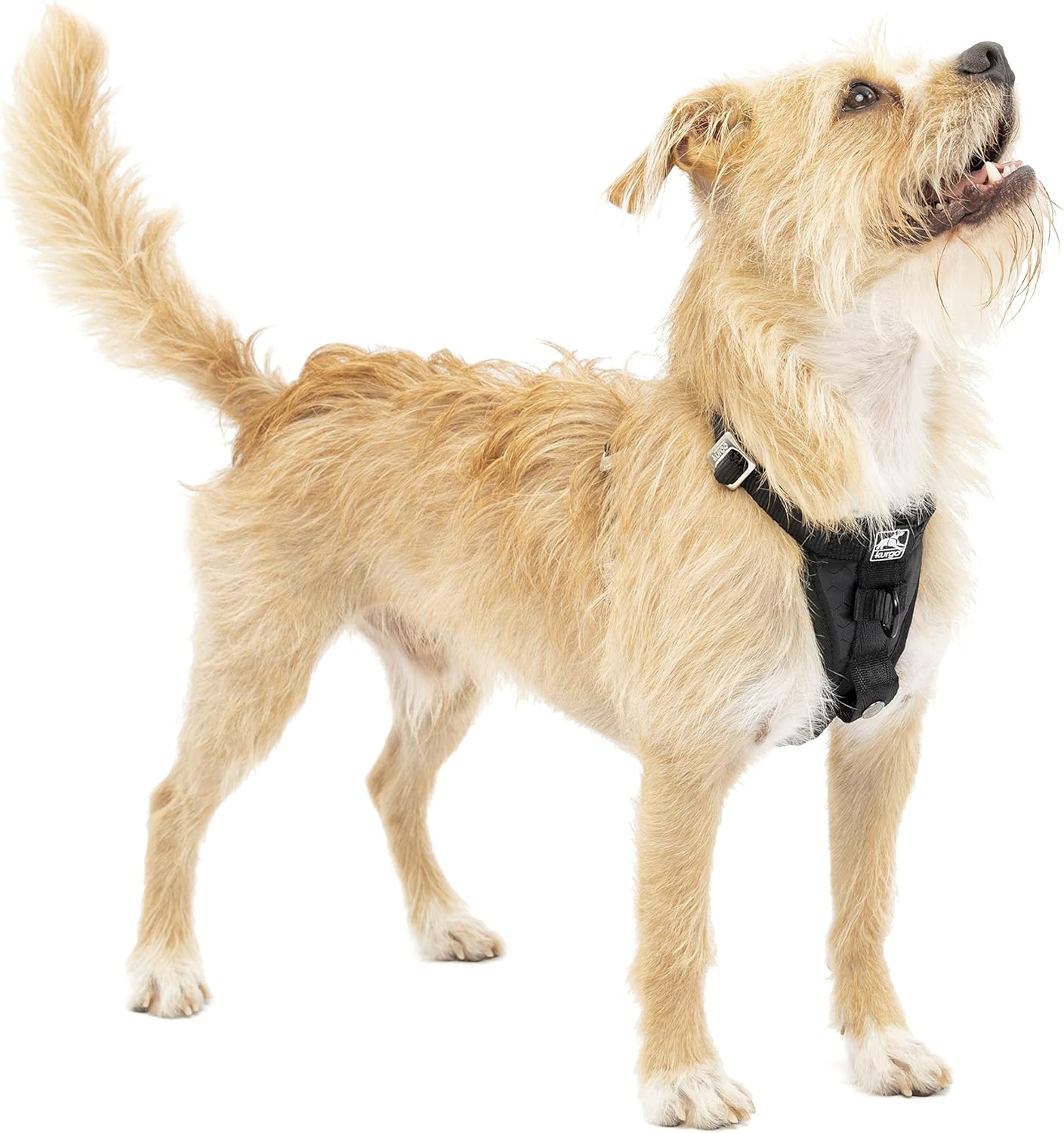 Kurgo Enhanced Strength Tru-Fit Dog Car Harness for Safety