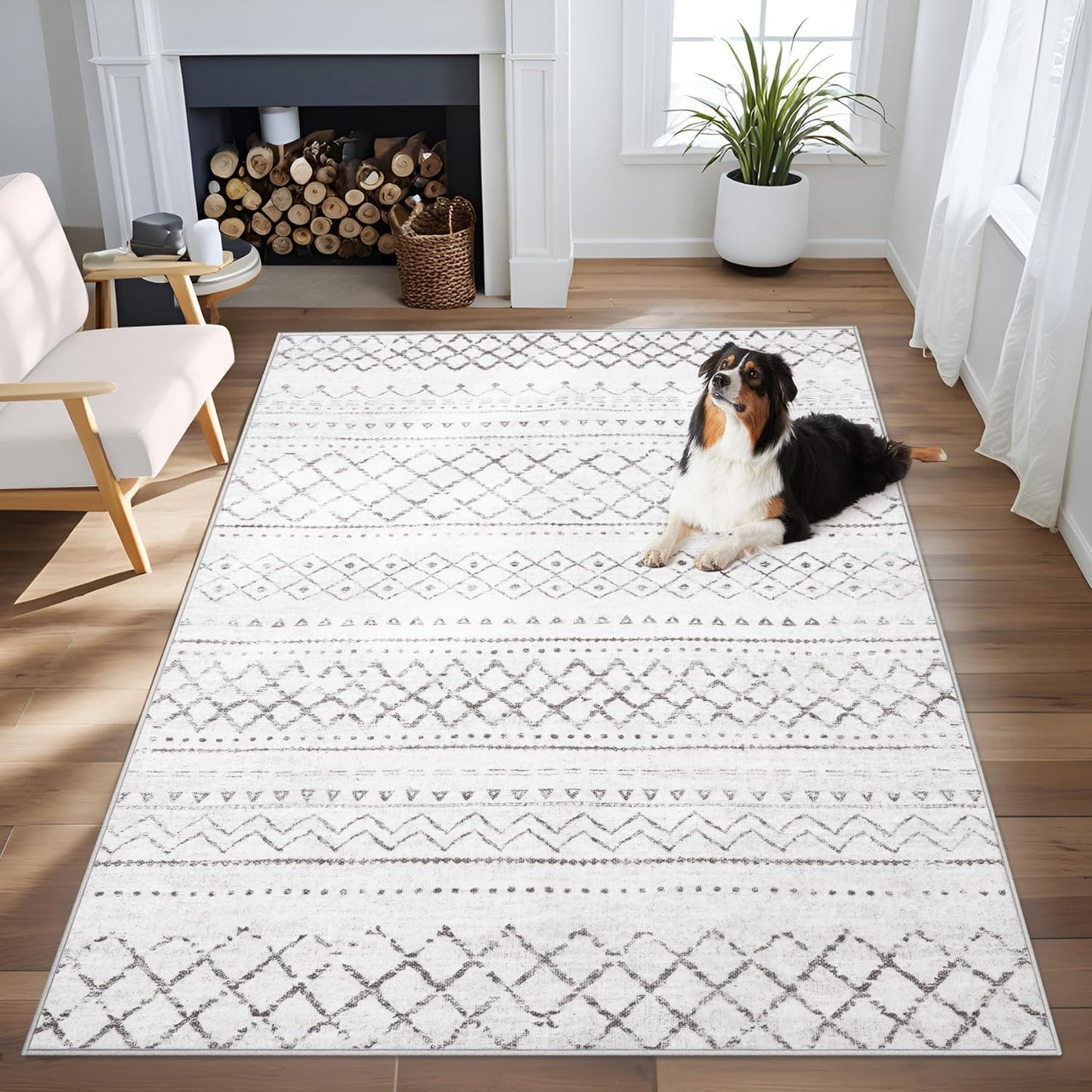 Area Rug 4x6 Geometric Soft Boho Moroccan Indoor Carpet
