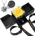 Preserved Real Rose with Heart I Love You Necklace Gift Set