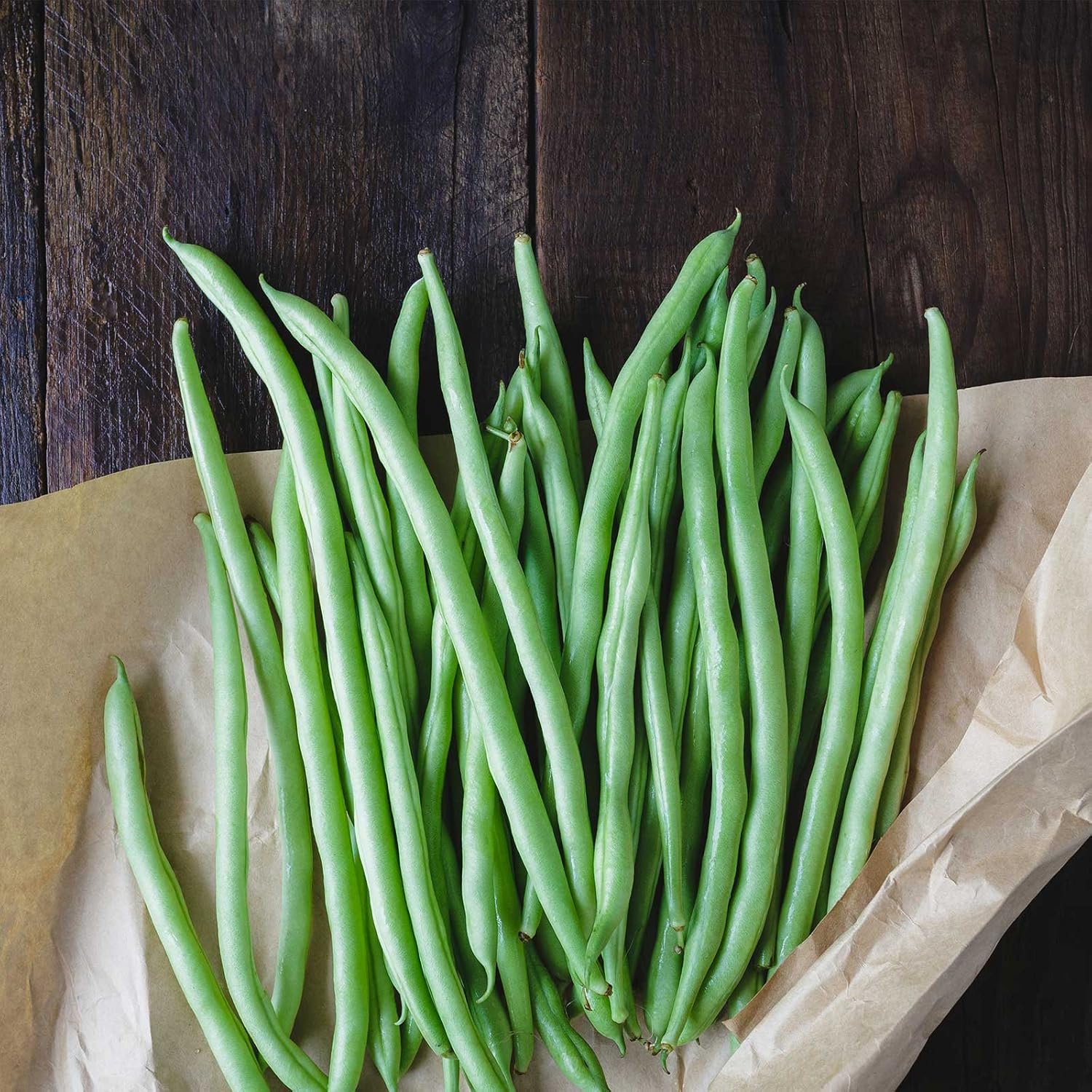 Blue Lake Bush Bean 274 Seeds - Non-GMO Heirloom Quality