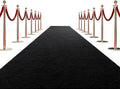 HOMBYS 450 GSM Extra Thick 3x15 ft Black Carpet Runner - Durable Event