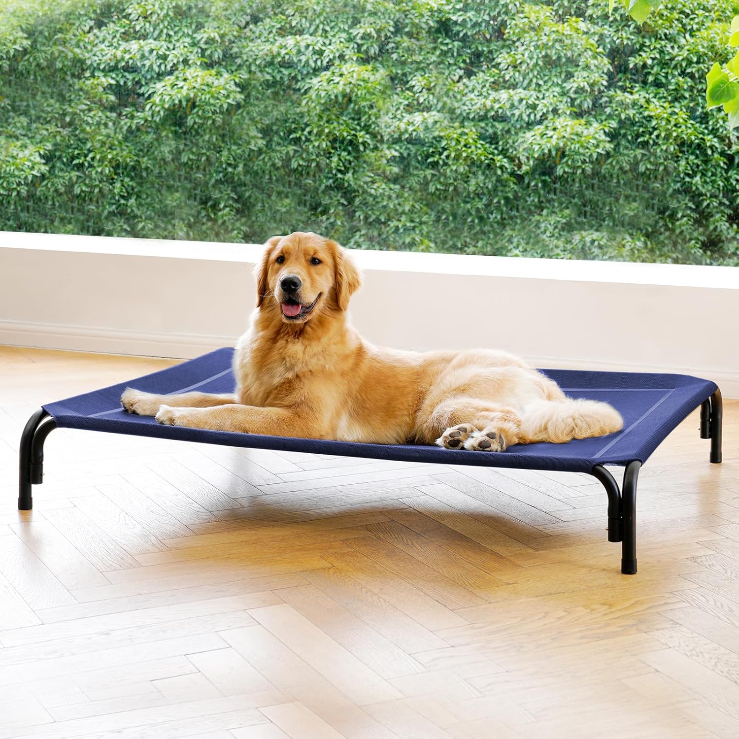 Elevated Dog Bed for Extra Large Dogs - Tool-Free Assembly