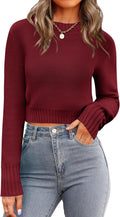 Crewneck Cropped Sweater - Trendy Ribbed Knit Pullover for Fall Guide