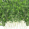 Artificial Italian Ruscus Greenery Stems 40 Pack - Realistic Wedding