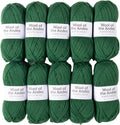 Wool of The Andes Worsted Yarn Pack - 10 Skeins Grass