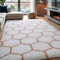 Zentavio Area Rugs for Living Room Large Soft Shag Carpet