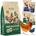 Dried Mealworms for Birds and Chickens - High Protein Winter Feed