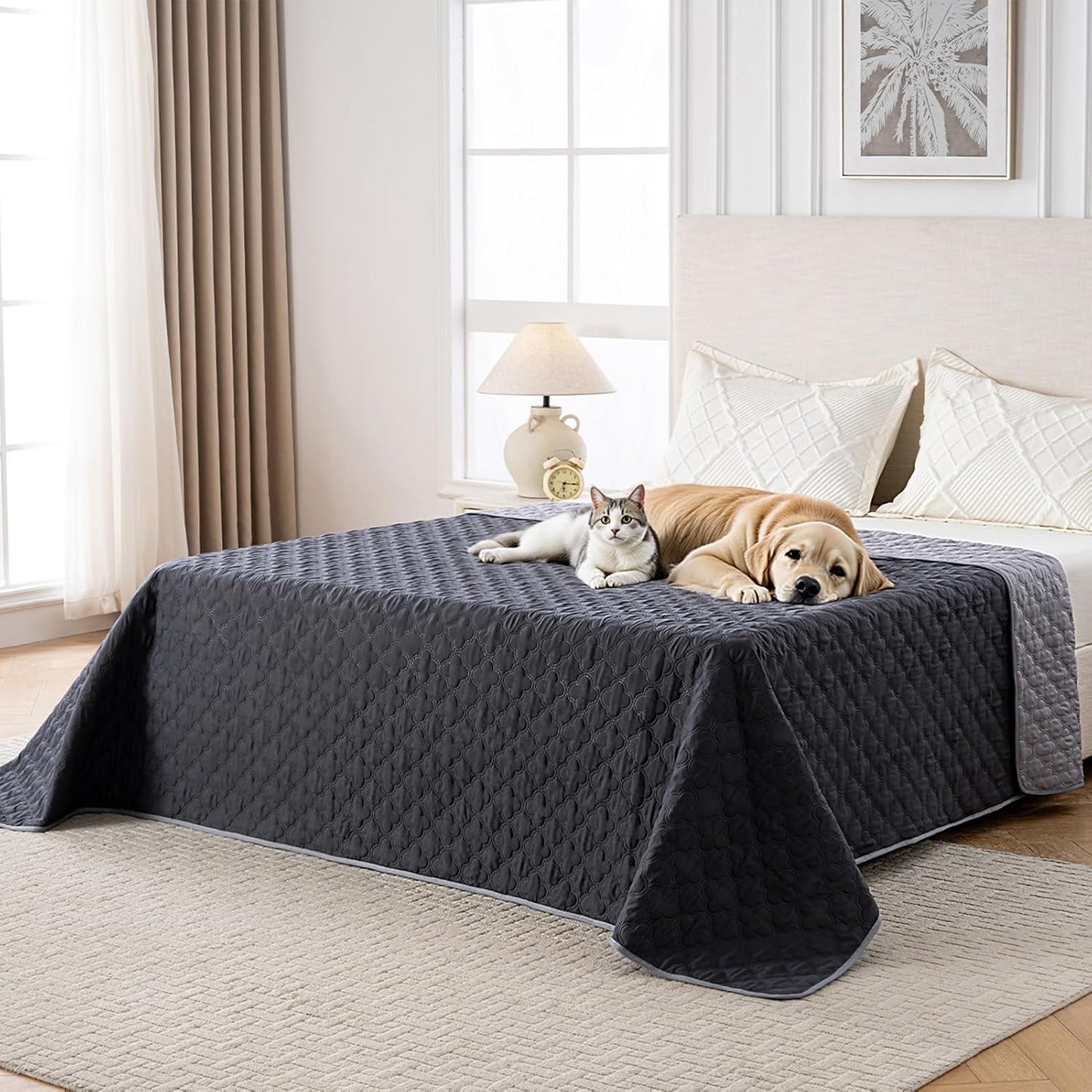 100% Double-Sided Waterproof Blanket for Dogs - Reversible Cover