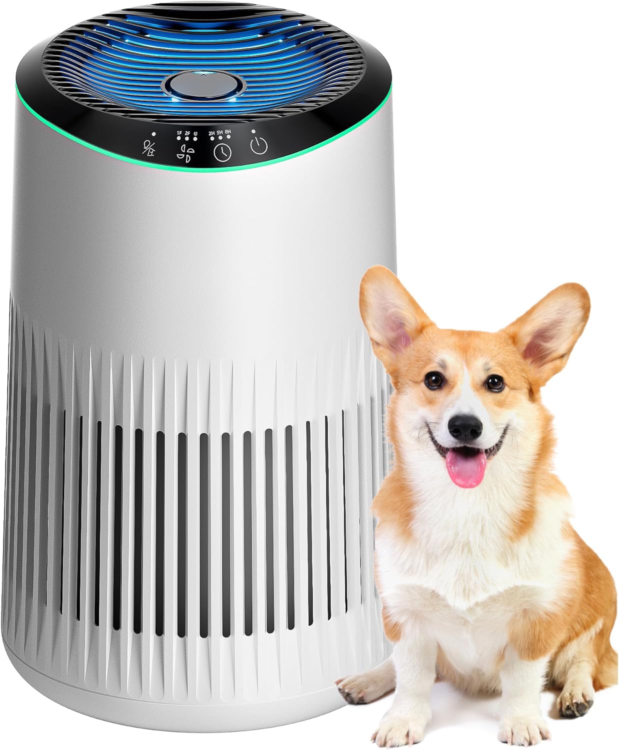 Air Purifiers for Bedroom Home with Fragrance Sponge and Sleep Mode