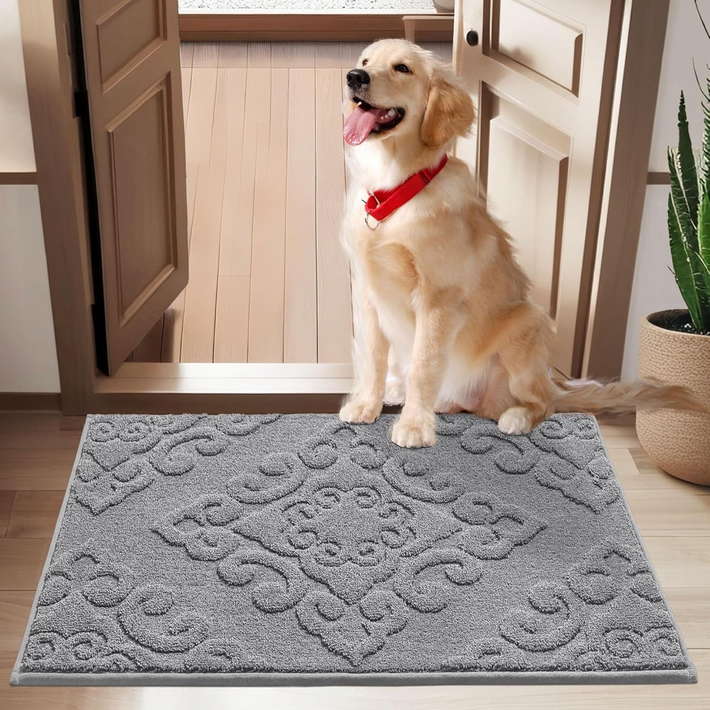 COSY HOMEER Door Mat 24x36 Non-Slip Absorbent Entryway Rug