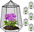 Garden Chicken Wire Cloche 5 Pack - Heavy-Duty Plant Protectors