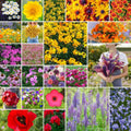 Northeast Wildflower Mixed Seeds 25 lb - Pollinator Friendly