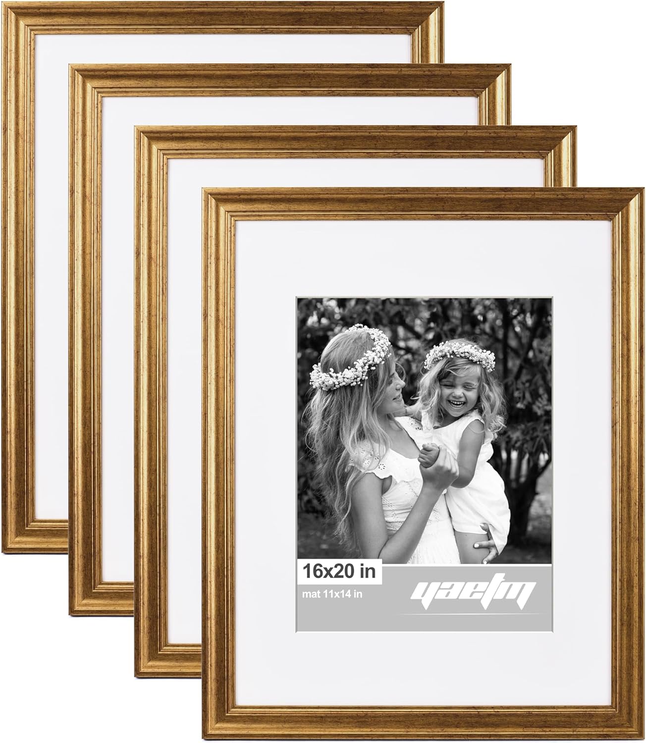16x20 Gold Picture Frame Set of 4 for Wall Gallery Display