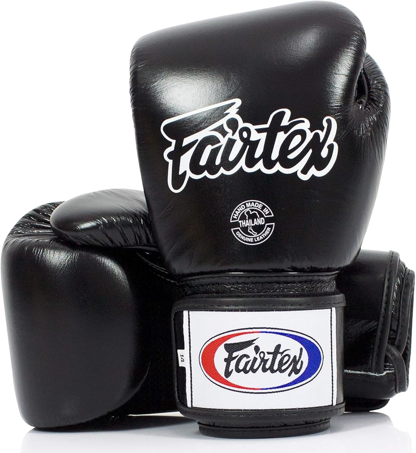 Fairtex BGV1BR Muay Thai Boxing Gloves for All Ages & Skills