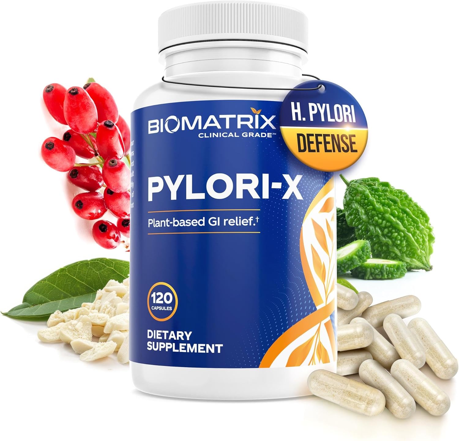 Pylori-X for H. Pylori Defense with Mastic Gum and Berberine