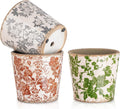 Sungmor Vintage Ceramic Plant Pots Set of 3 - Ice Crackle Herb