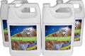 Wood & Laminate Floor Cleaner - Streak-Free Natural Shine