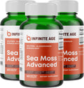 Infinite Age 3 Pack 1250mg Sea Moss Capsules - High-Potency Health