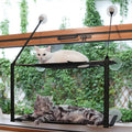 Cat Window Perch Folding Cat Hammock Double Layer Sunny Seat - Strong