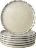 AmorArc Dinner Plates Set of 6 10.5 in - Handcrafted Reactive Glaze